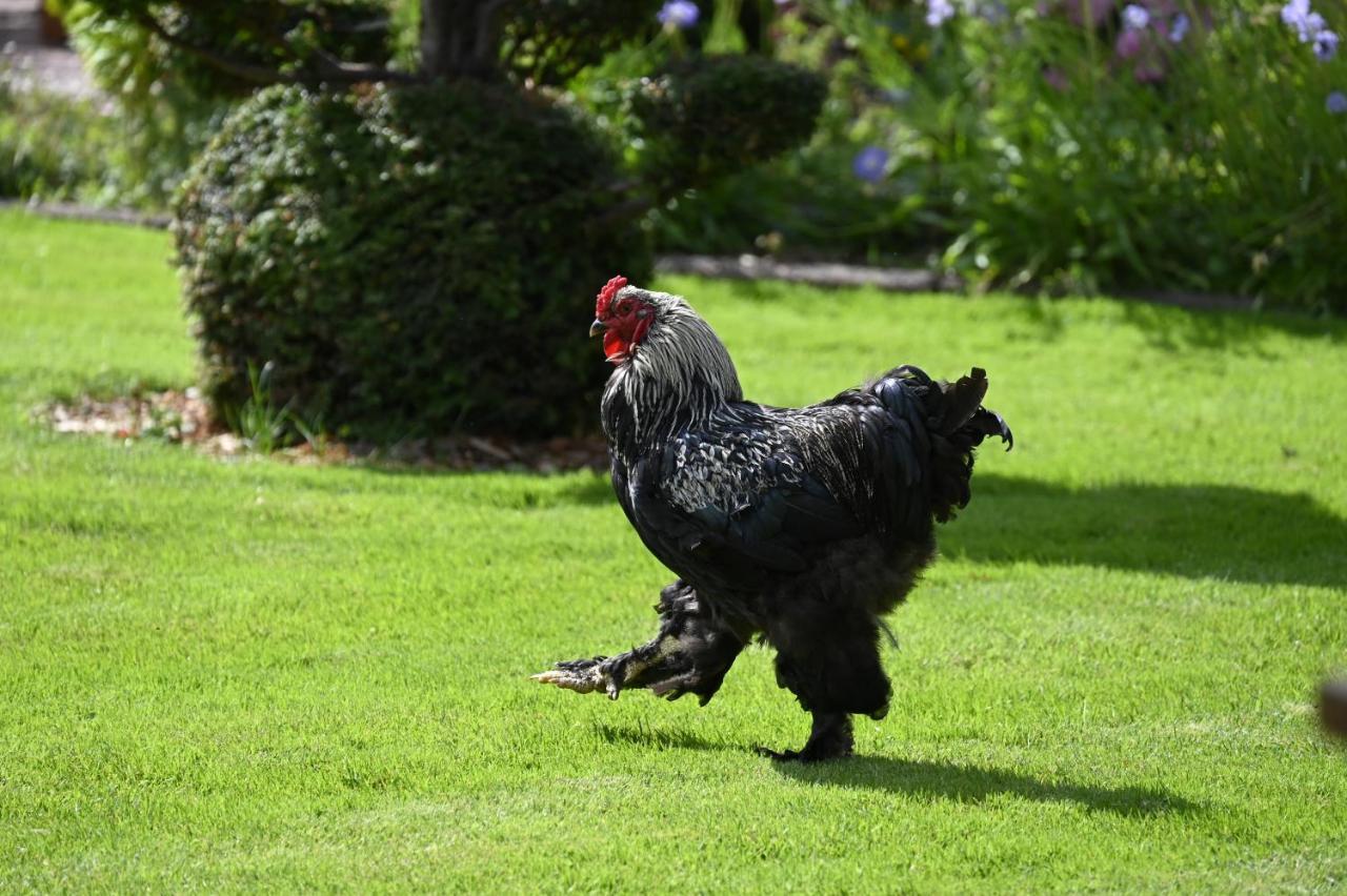 Het Melkhuis Op Prachtig Landgoed Koepeltjesplaats Gaast Exterior foto